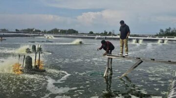 Kejari Bengkalis Periksa Eks Kadis LHK Riau, Aktivis Minta Segera Tetapkan Tersangka