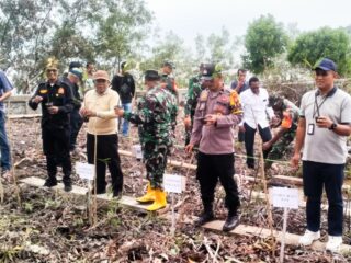 Laskar RMRB Dukung Aksi Menanam Pohon Mangrove yang Digelar di Pantai Quari Pulai Bungkuk Bengkalis